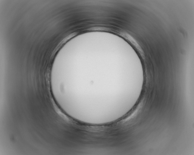 X0000113751049200910141022