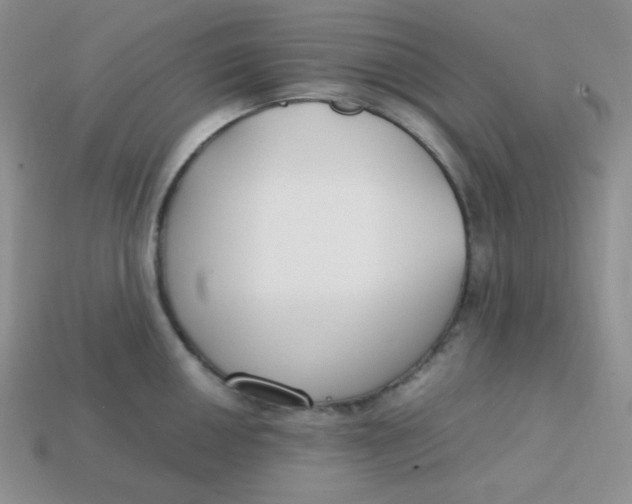 X0000113751050200910141022