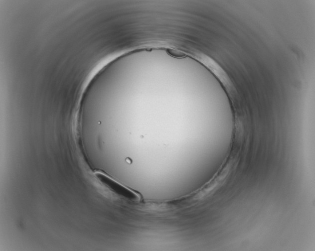 X0000113751052200910141022