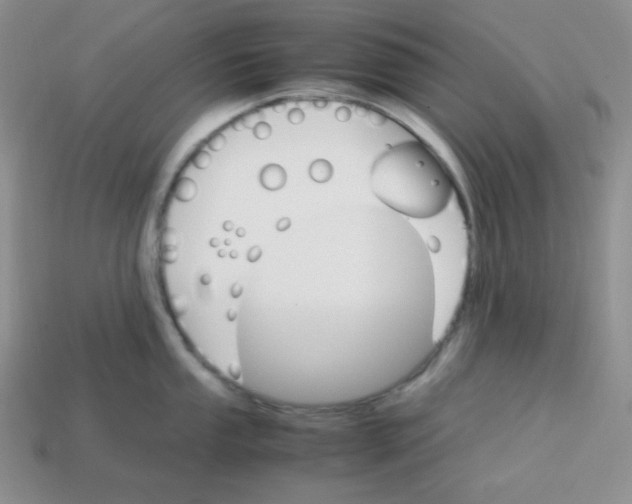 X0000113751053200910141022