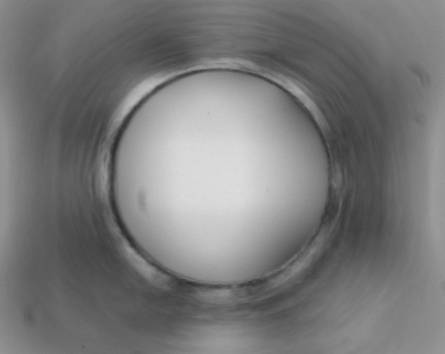 X0000113751054200910141022