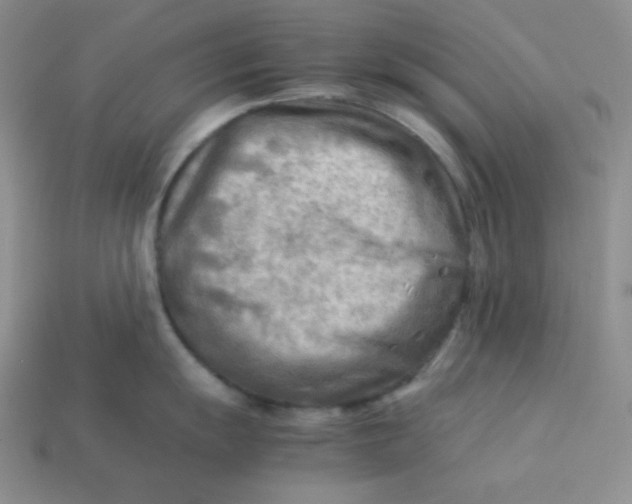 X0000113751055200910141022