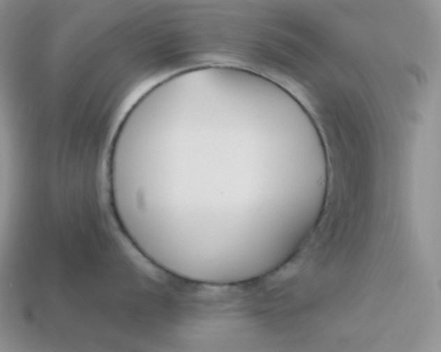 X0000113751056200910141022