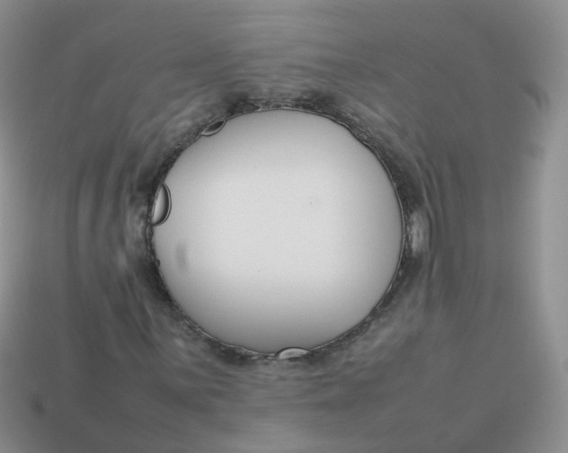 X0000113751059200910141021