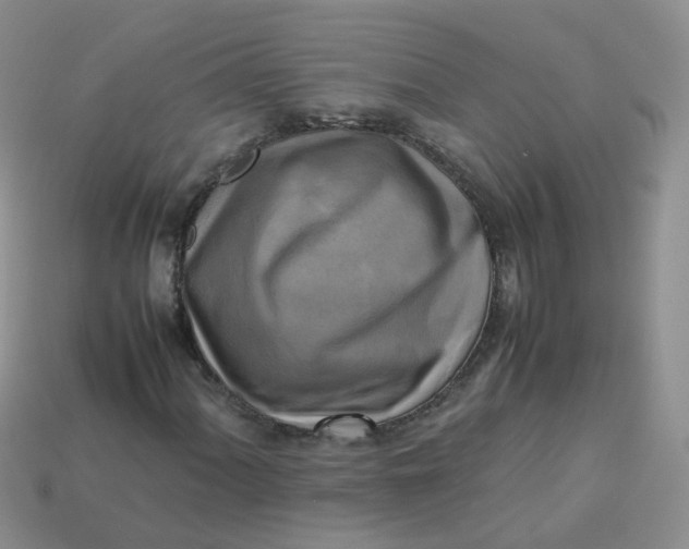 X0000113751060200910141021