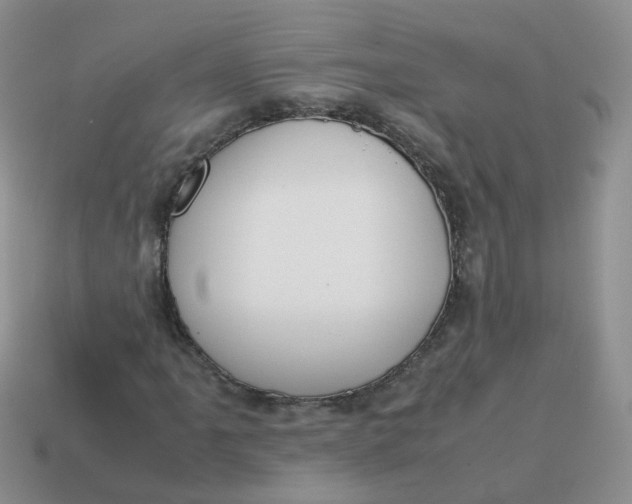 X0000113751061200910141021