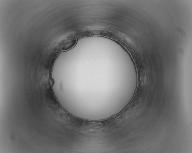 X0000113751062200910141021