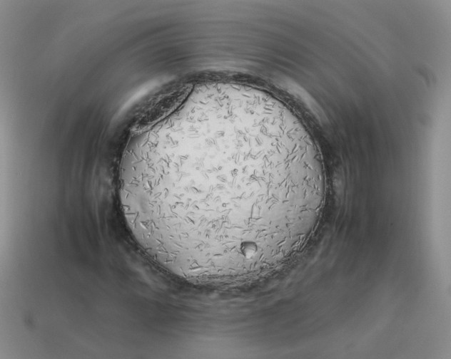 X0000113751064200910141021