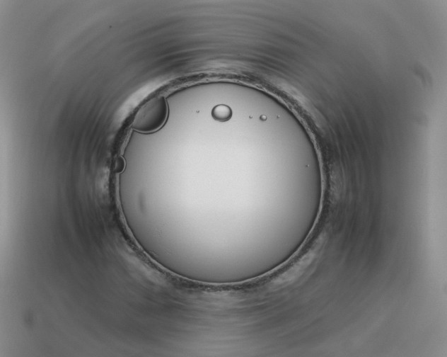 X0000113751066200910141021