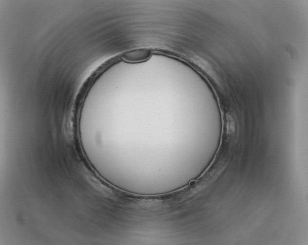 X0000113751068200910141021