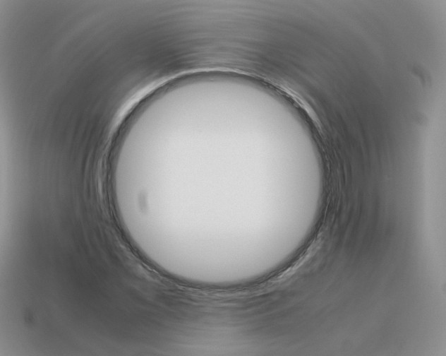 X0000113751069200910141021