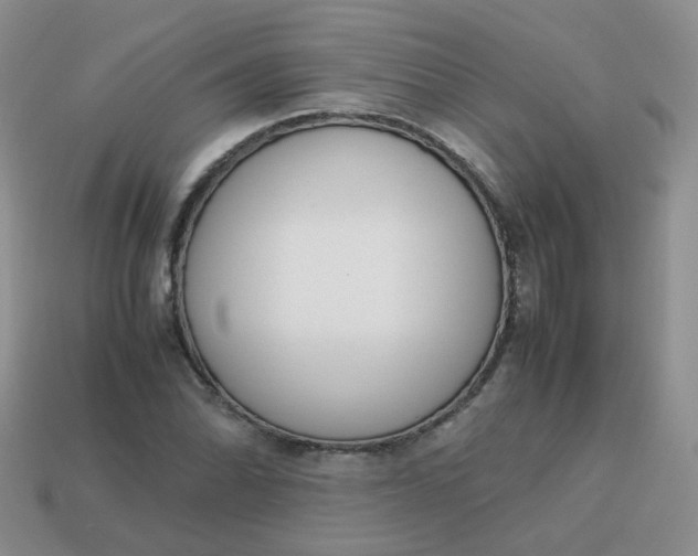 X0000113751070200910141021