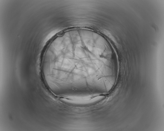 X0000113751071200910141021