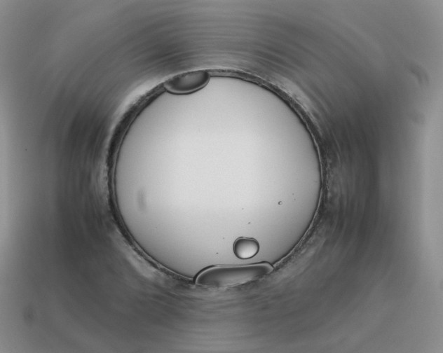 X0000113751072200910141021