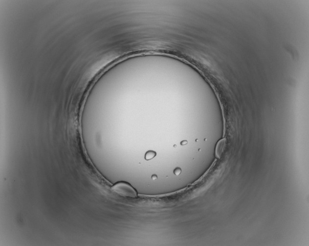 X0000113751073200910141021