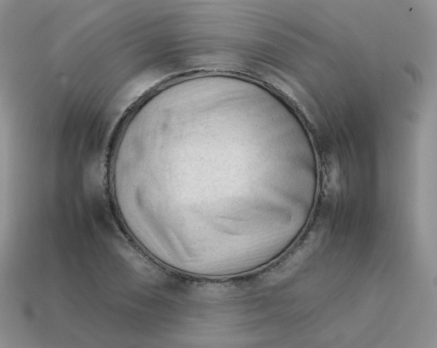 X0000113751074200910141021