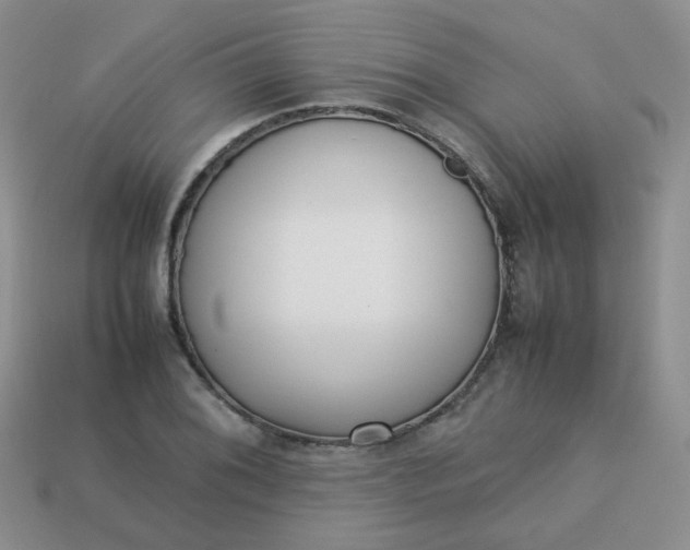 X0000113751076200910141021