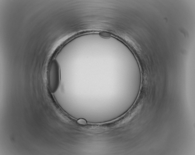 X0000113751077200910141021