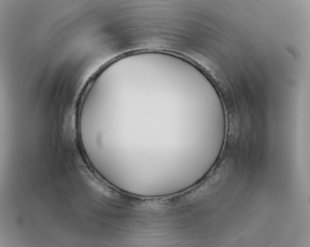 X0000113751078200910141021