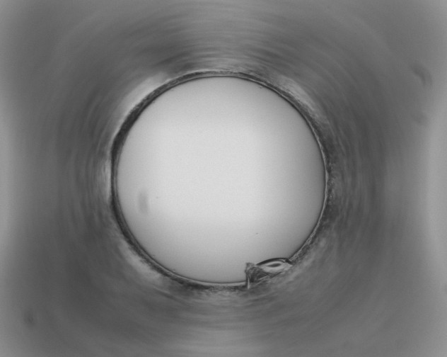 X0000113751079200910141021