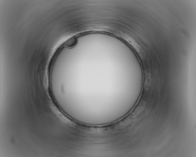 X0000113751080200910141021