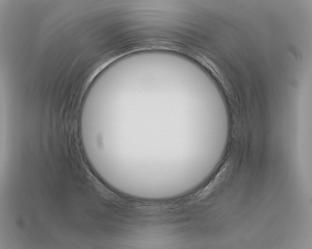 X0000113751081200910141021