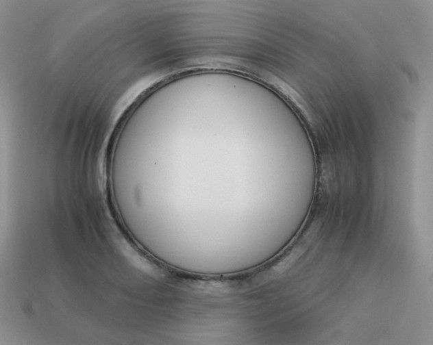 X0000113751082200910141021