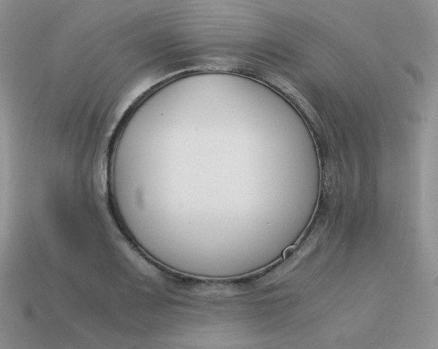 X0000113751083200910141021