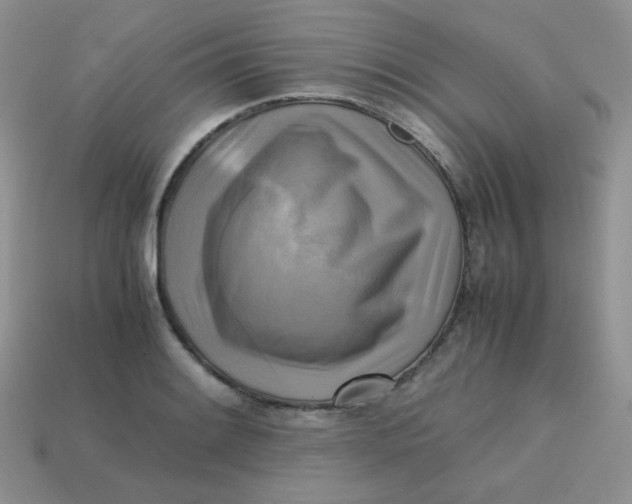 X0000113751084200910141021