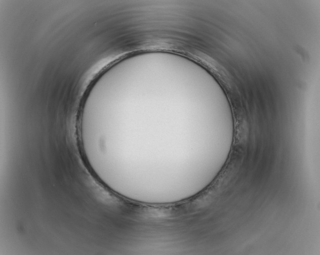 X0000113751086200910141021