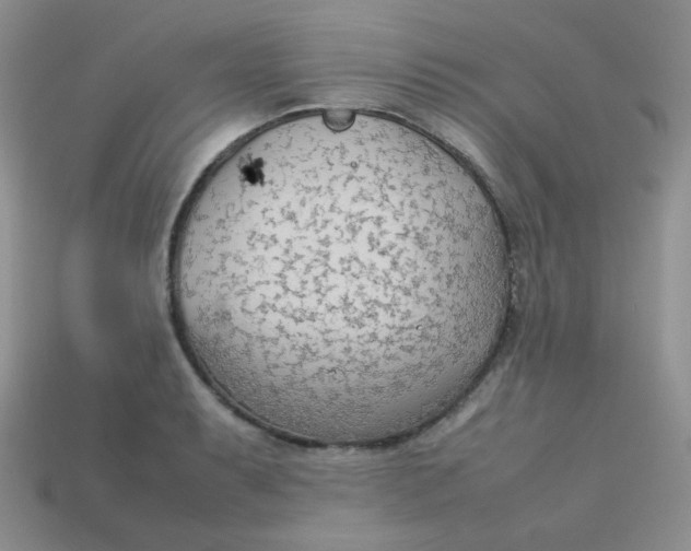 X0000113751087200910141021