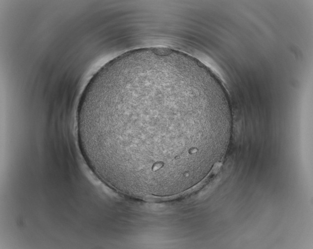 X0000113751088200910141021