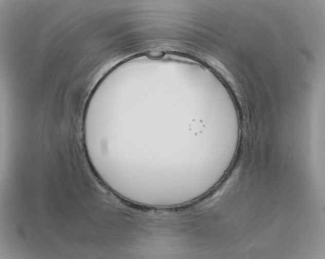 X0000113751089200910141021