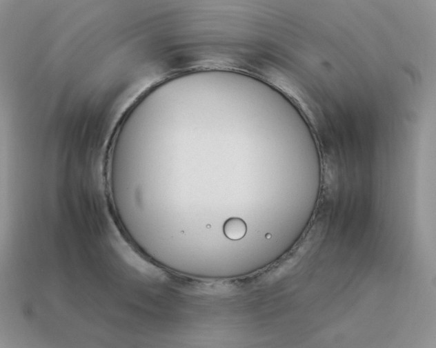 X0000113751090200910141021