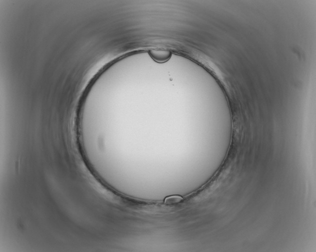 X0000113751091200910141021