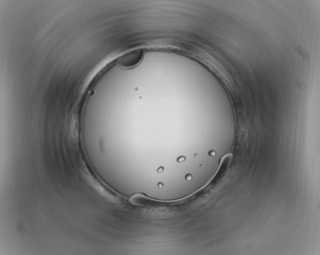 X0000113751092200910141021