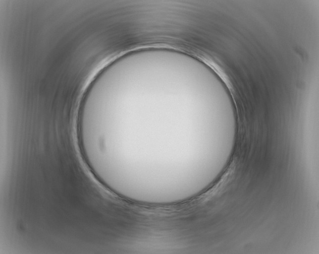 X0000113751093200910141021