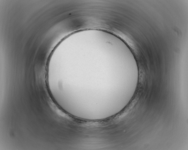 X0000113751094200910141021