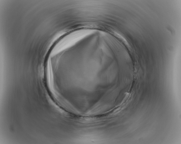 X0000113751095200910141021