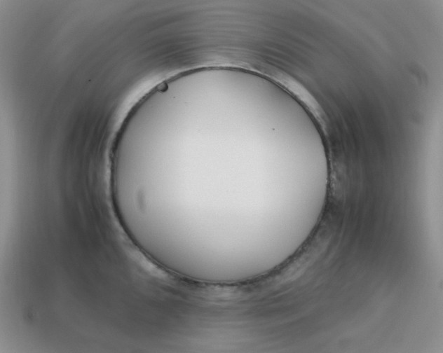 X0000113751096200910141021