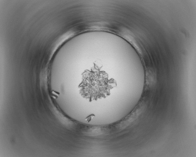 X0000113751098200910141021