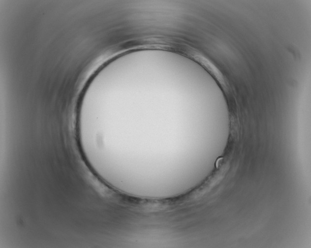 X0000113751099200910141021