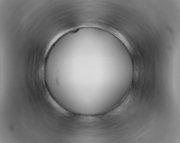 X0000113751100200910141021