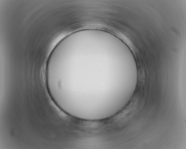 X0000113751103200910141020