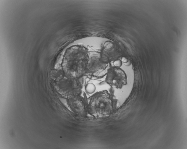 X0000113751105200910141020