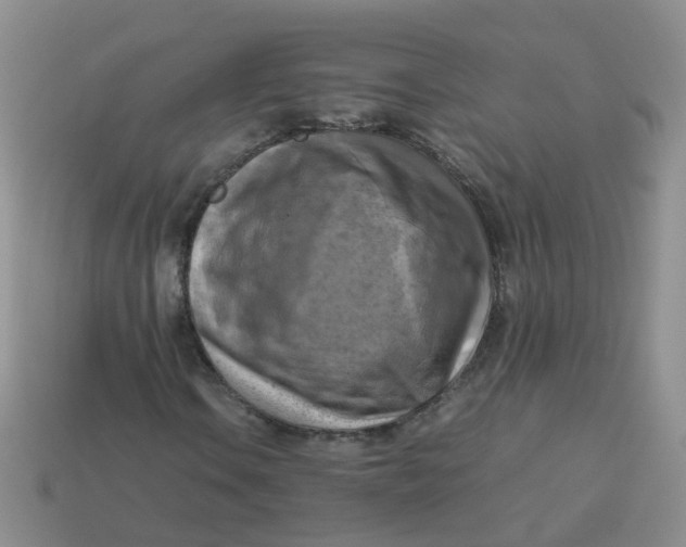 X0000113751106200910141020