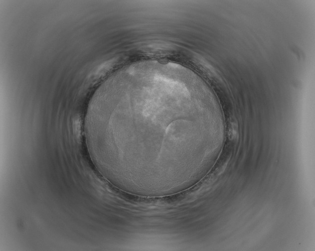 X0000113751108200910141020