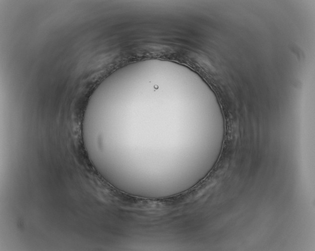 X0000113751109200910141020