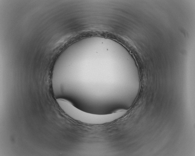 X0000113751110200910141020