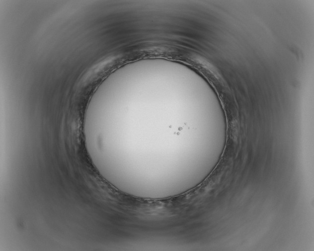 X0000113751111200910141020